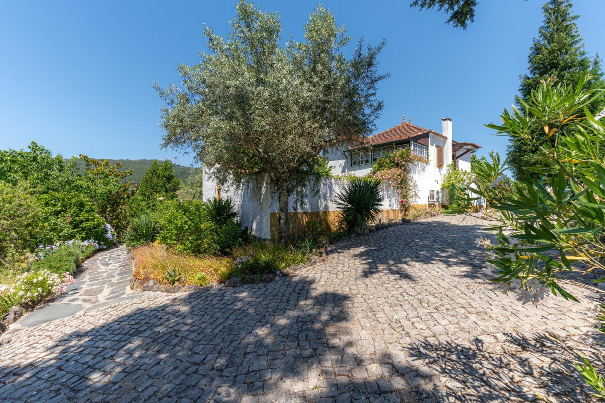 Atlantic Nest Poiares Villa Vila Nova de Poiares Exteriör bild
