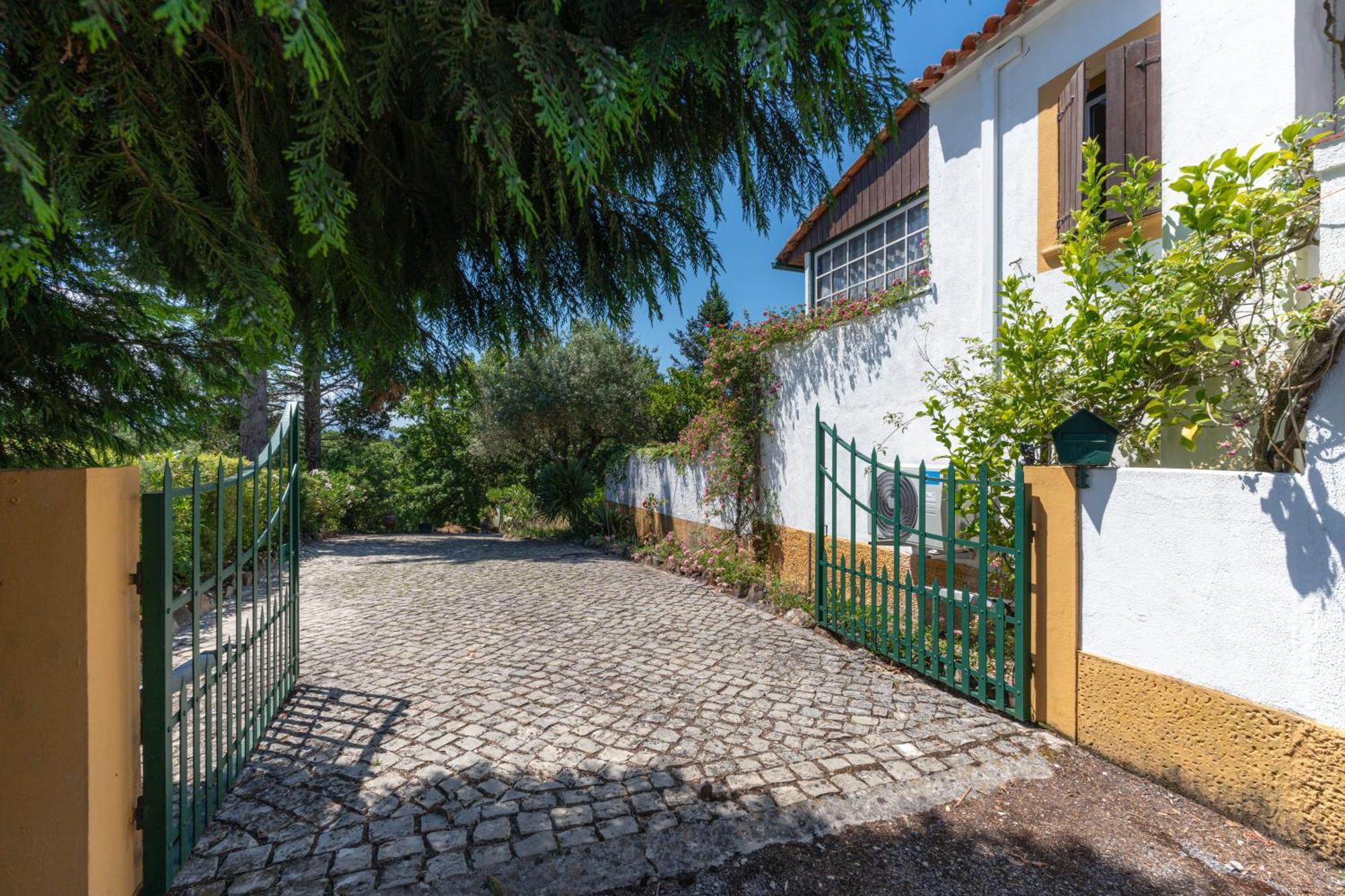 Atlantic Nest Poiares Villa Vila Nova de Poiares Exteriör bild