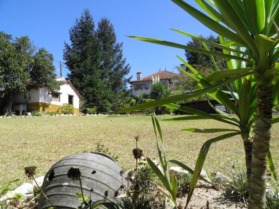 Atlantic Nest Poiares Villa Vila Nova de Poiares Exteriör bild